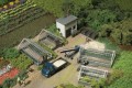 12351 Auhagen Plant nursery